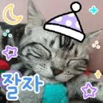고양이다냥