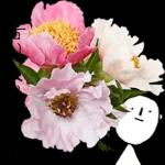 이야기 꽃이 피었습니다 