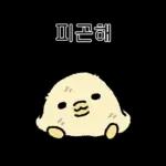 짧뚱한 짧뚱아리