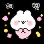 사랑둥이 애기토끼 앙토!