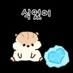 콩닥콩닥 사랑둥이 햄뚜둥이