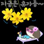 좋은 일이 가득하길