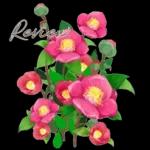 鲜艳꽃束问候表情包2