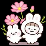 다정한 안부톡톡 15