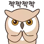  행복한 모찌냥이