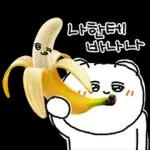 청과물 그리고 눈빛