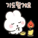 포근버니