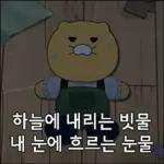 도도도 춘식이