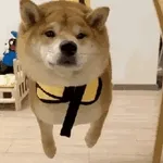 오늘 하루, 사랑도 돈도 다 잡을 거예요!