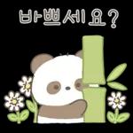 단쥬는 친절하쥬