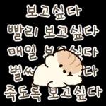 콩닥콩닥 사랑둥이 햄뚜둥이