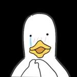 맹한 오리녀석들