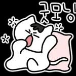 찌코는 안친해!