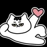 찌코는 안친해!