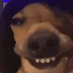 해 볼까해 볼까해 볼까?