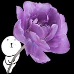 이야기 꽃이 피었습니다 