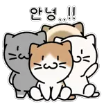 유기묘 까누와 냥이친구들