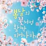 플라워힐링메세지 2