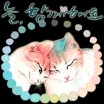 늘, 함께해요.. 반려묘의 사랑메세지