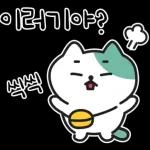 낙천가고양이 민트냥
