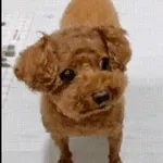 오늘 하루, 사랑도 돈도 다 잡을 거예요!