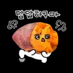 청과물 그리고 눈빛