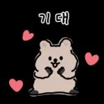 하찮은 눈망울