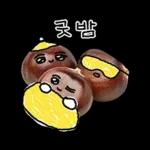 청과물 그리고 눈빛