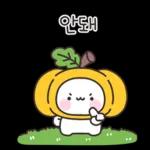 빠미는 사랑이 가득해 2