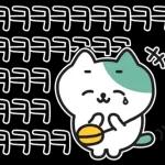 낙천가고양이 민트냥