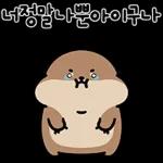 오동통통 서달이 등장! 7 