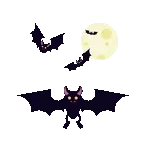 해피 핼러윈 🎃🎃