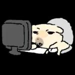 흘긋흘긋 털강아지