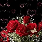 ❤️🌹진심과 장미	너에게만～