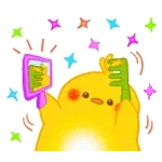 장미 한송이 드려요~!!!