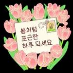 따뜻한 마음 봄꽃 엽서