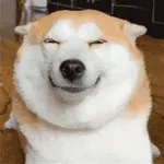 오늘 하루, 사랑도 돈도 다 잡을 거예요!