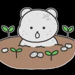 알감자곰의 일상