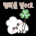 포근버니