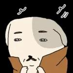 표정으로 말하는 뽀삐