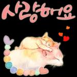 늘, 함께해요.. 반려묘의 사랑메세지