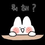 볼빵빵토끼 볼토