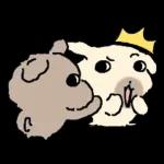 흘긋흘긋 털강아지