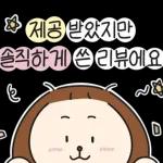 블로거 오늘이의 리뷰