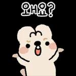 뻔뻔해서 귀여운 쿼카 먕고