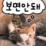 고양이다냥