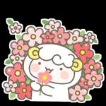 하양이의 일상
