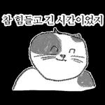 점냥아 오늘만 참자