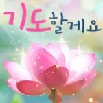 플라워힐링메세지 2