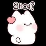 오늘도 포근하다냥